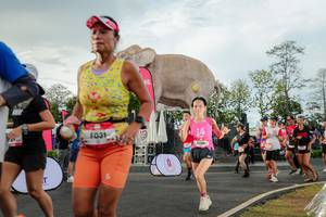 BIB: 
                            <button type="button" onclick="openModal(26528333)" class="btn btn-primary btn-sm float-right btn-popup" data-toggle="modal" data-target=".modal-high-quality">
                        <i class="fas fa-shopping-cart"></i> Add to Cart
                    </button>
                                            <button type="button" onclick="isThisMe(26528333, true)" class="btn btn-success btn-sm float-right btn-popup btn-isme hidden" data-toggle="tooltip" data-placement="bottom" title="นี่คือรูปของคุณใช่ไหม คลิกที่นี่เพื่อเอาเข้าอัลบั้ม">
                        <i class="fas fa-plus"></i> Add to album
                    </button>
                    <button type="button" onclick="isThisMe(26528333, false)" class="btn btn-warning btn-sm float-right btn-popup btn-isnotme hidden">
                        <i class="fas fa-ban"></i> Remove from album
                    </button>